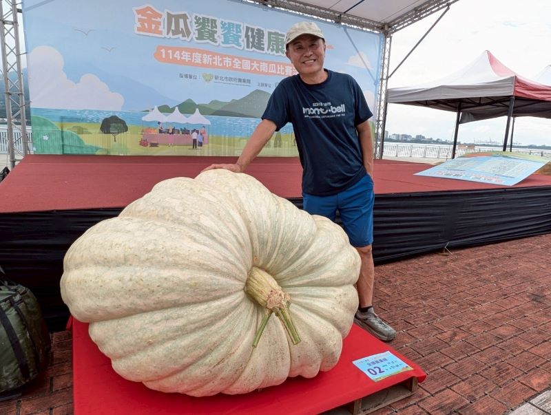 淡水南瓜產季開跑 全國大南瓜比賽優勝作品周末亮相 19 《圖說》去(114)年冠軍大南瓜重732台斤。〈農業局提供〉