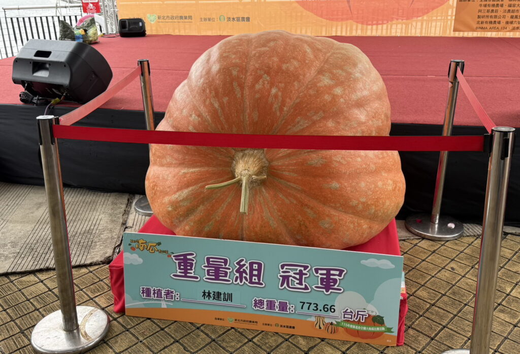 淡水全國南瓜大賽 773斤巨無霸稱霸全國 在地農友林建訓第九度獲得南瓜王 30 S 452976646