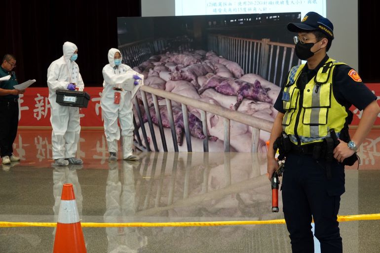 端午防疫不鬆懈 新北重大豬病兵推建構跨局處防護網 25 《圖說》派出所員警進行肉品市場移動管制。〈動保處提供〉