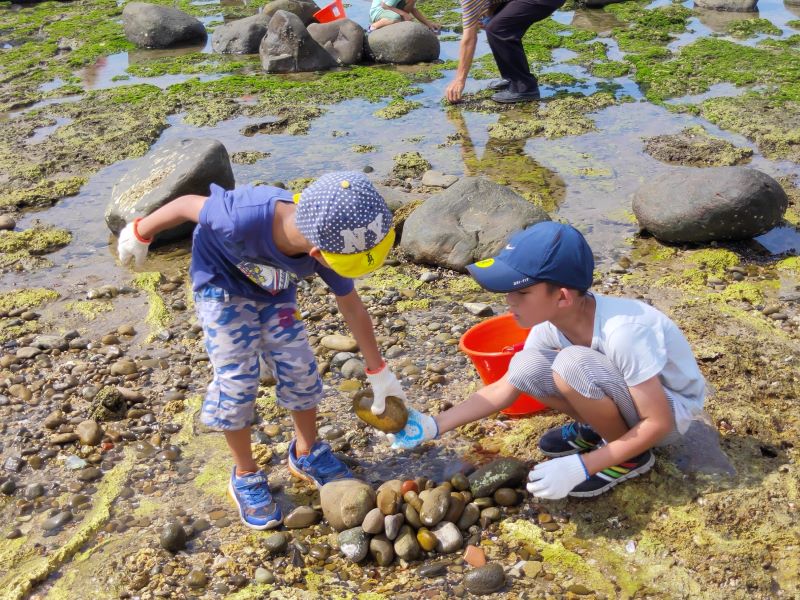 《圖說》2026「三萬金文旅」系列活動，於8月15日及8月29日推出兩場三芝石滬修復暨淨灘體驗。〈文化局提供〉