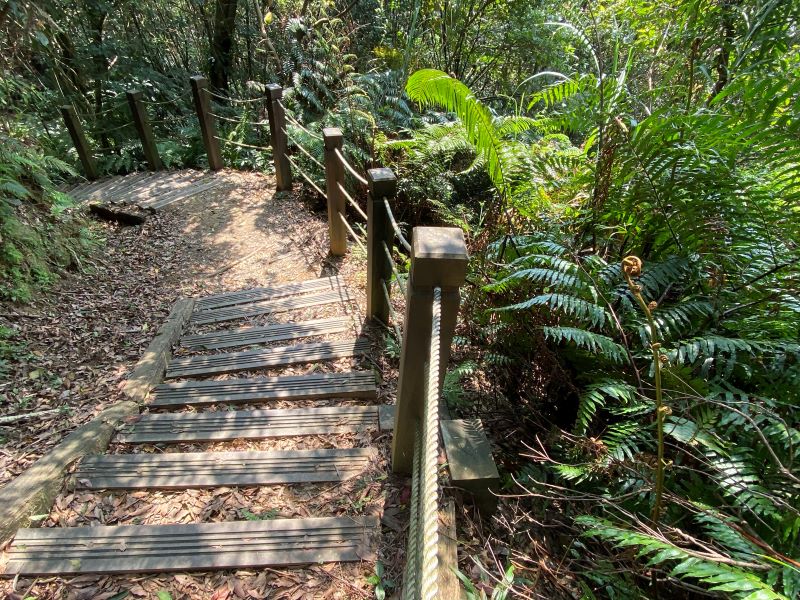 親子健行、離線地圖一次學 新北野山林打造安心登山體驗
