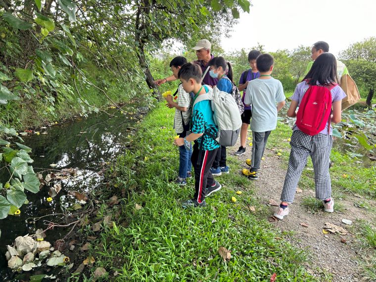 探索濕地奧秘玩中學 新北生態體驗營7/2報名 6 《圖說》透過實地走訪與觀察,孩子們近距離認識各類動植物。〈環保局提供〉