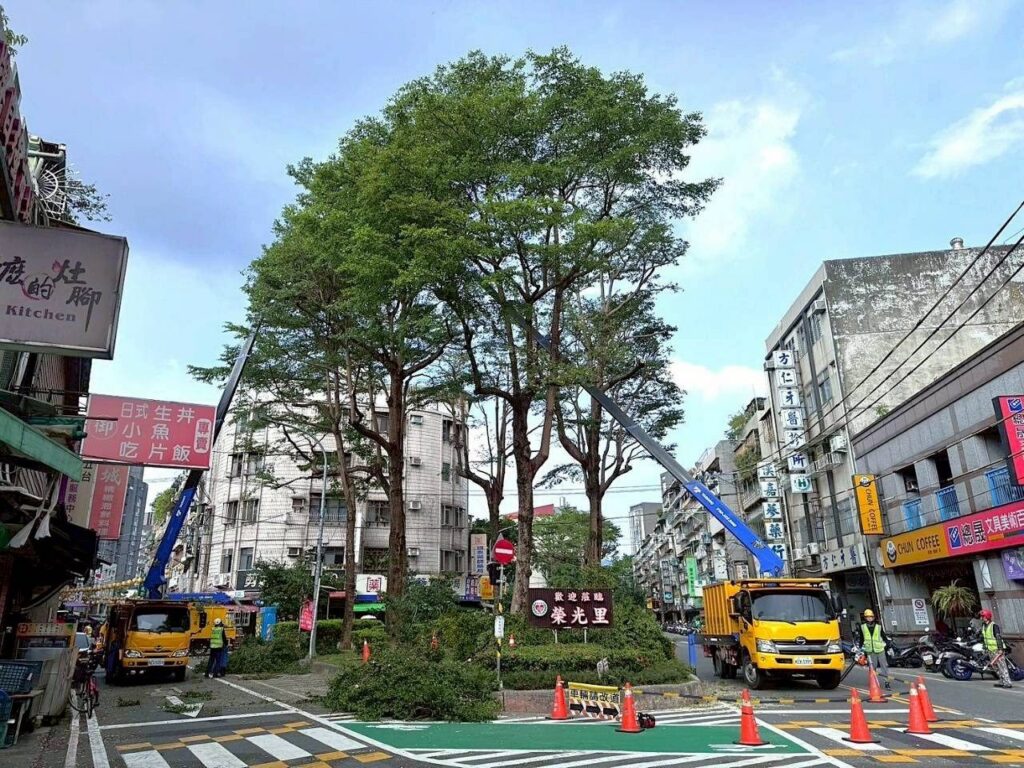 迎戰強颱巴威 北市公園處示範路樹修剪 兼顧防颱安全與綠蔭維護 30 a29aeaf8 1241 4fb1 8548 98ba9980d815