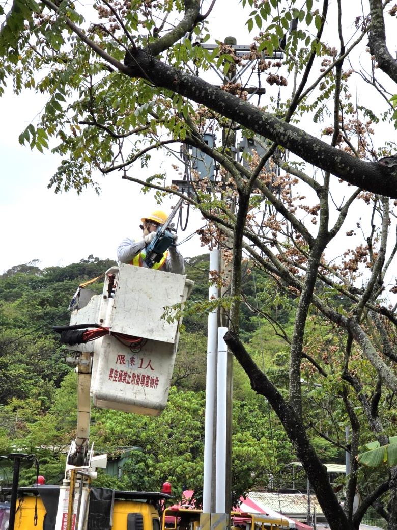 《圖說》台電人員超前部署，執行預防性樹枝修剪。〈台電台北市區處提供〉