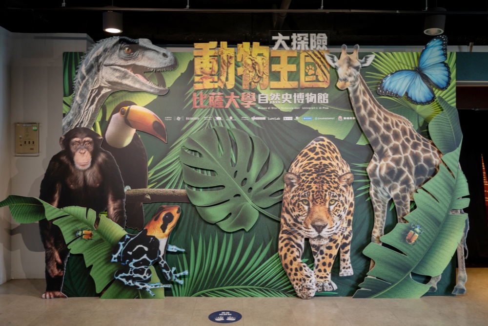 世界級自然史特展來台首展 《動物王國大探險展》科教館登場