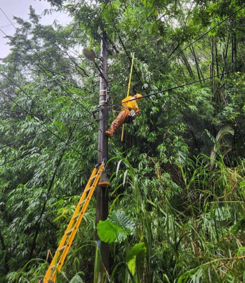 巴威強風北部零星停電   台電北南區處搶修復電逾九成