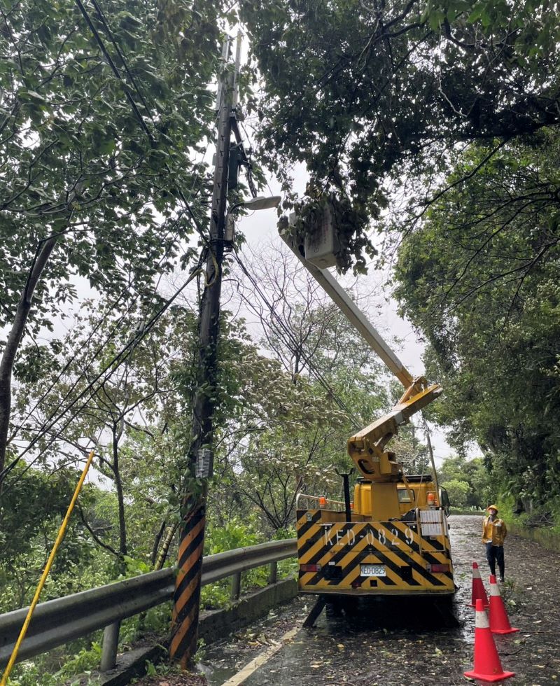 巴威強風北部零星停電 台電北南區處搶修復電逾九成 5 《圖說》台電北南區處派員全力搶修強風吹倒路樹壓損電線。〈北南區處提供〉