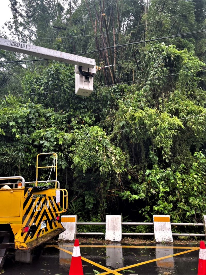 巴威強風北部零星停電 台電北南區處搶修復電逾九成 6 《圖說》台電北南區處派員全力搶修強風吹倒路樹壓損電線二。〈北南區處提供〉