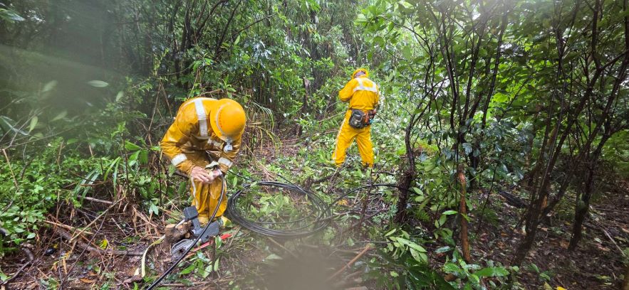 巴威釀8千戶停電  台電北西區處動員百人搶修已復電7千戶