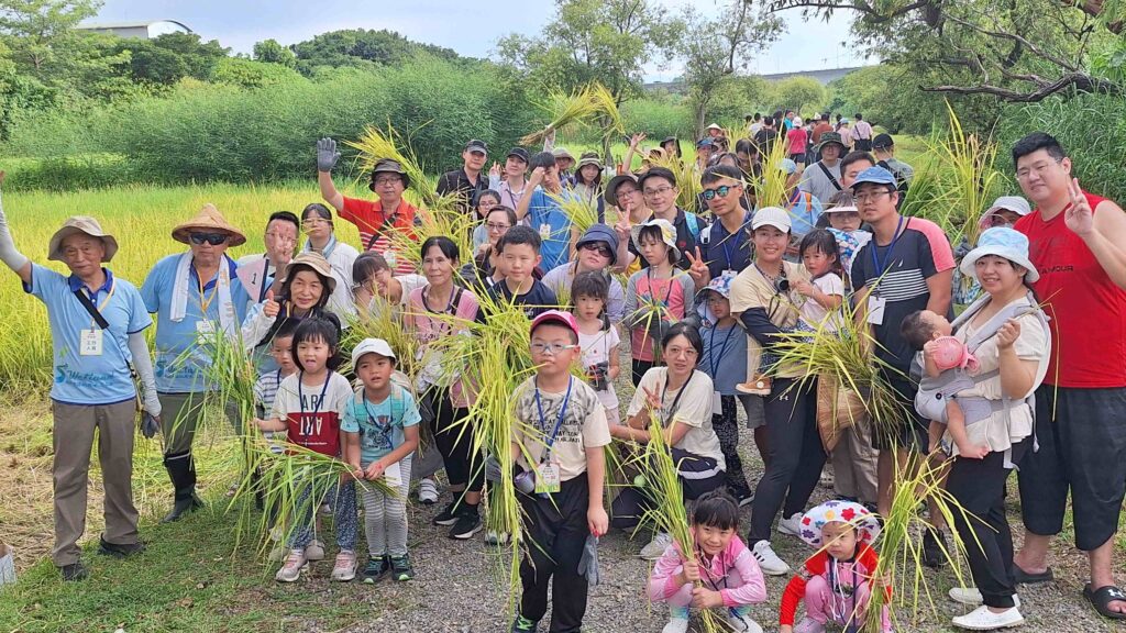 2026新北濕地割稻趣 500名額體驗城市農趣開放報名 20 %E5%9F%8E%E5%B8%82%E5%89%B2%E7%A8%BB%E9%AB%94%E9%A9%97