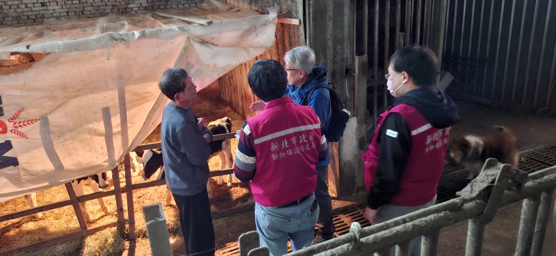 因應紐乳零關稅衝擊 新北啟動「牛力護航計畫」迎戰進口競爭 8 《圖說》專家教導防止仔牛下痢對策。〈動保處提供〉