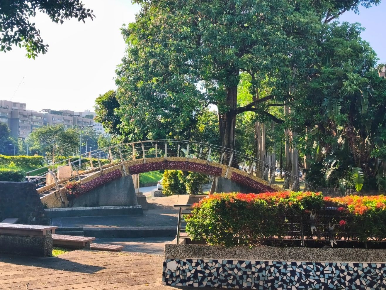 雞蛋花美得低調 　蘭興一號綠地收藏天母夏日風景