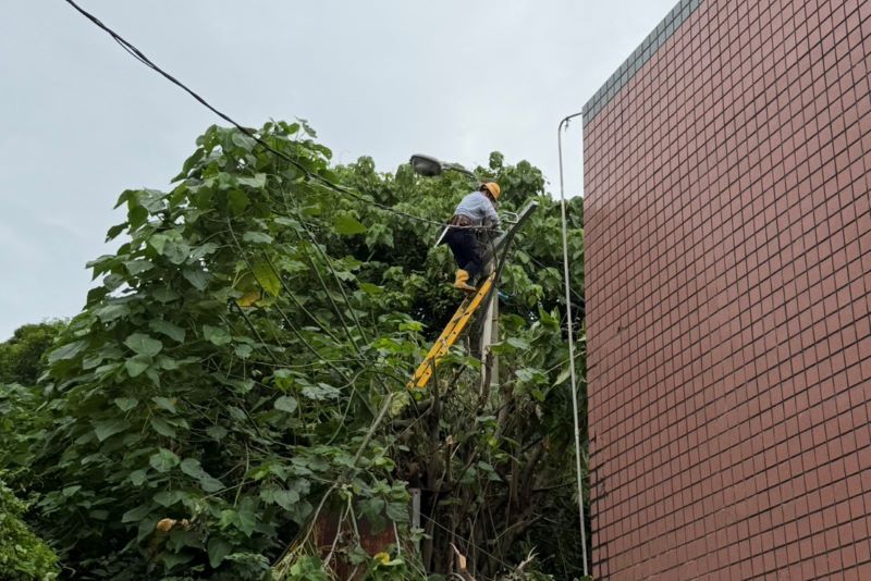 沙德爾發布海警 台電北西區處強化巡檢備戰搶修 18 《圖說》台電北西區處人員修剪樹枝維護設備,確保颱風期間電力穩定供應。〈北西區處提供〉