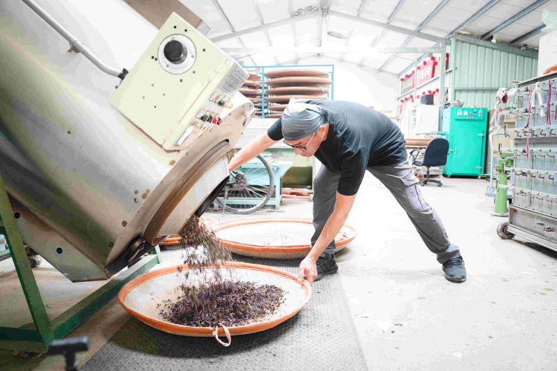 《圖說》粟益民除了美人茶，也研製白茶、綠茶、蜜香紅茶及結合櫻花香氣的「櫻花茶」，曾獲日本世界綠茶大賽金賞。〈農業局提供〉