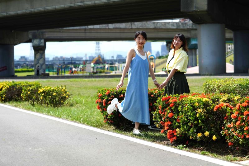 《圖說》三重淡水河畔沿線的仙丹花正開。〈高灘處提供〉