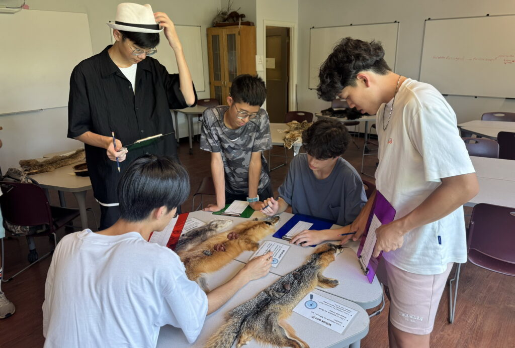 新北雙聯學制邁入第8年 接軌4國10夥伴拓展國際升學路 7 0828007