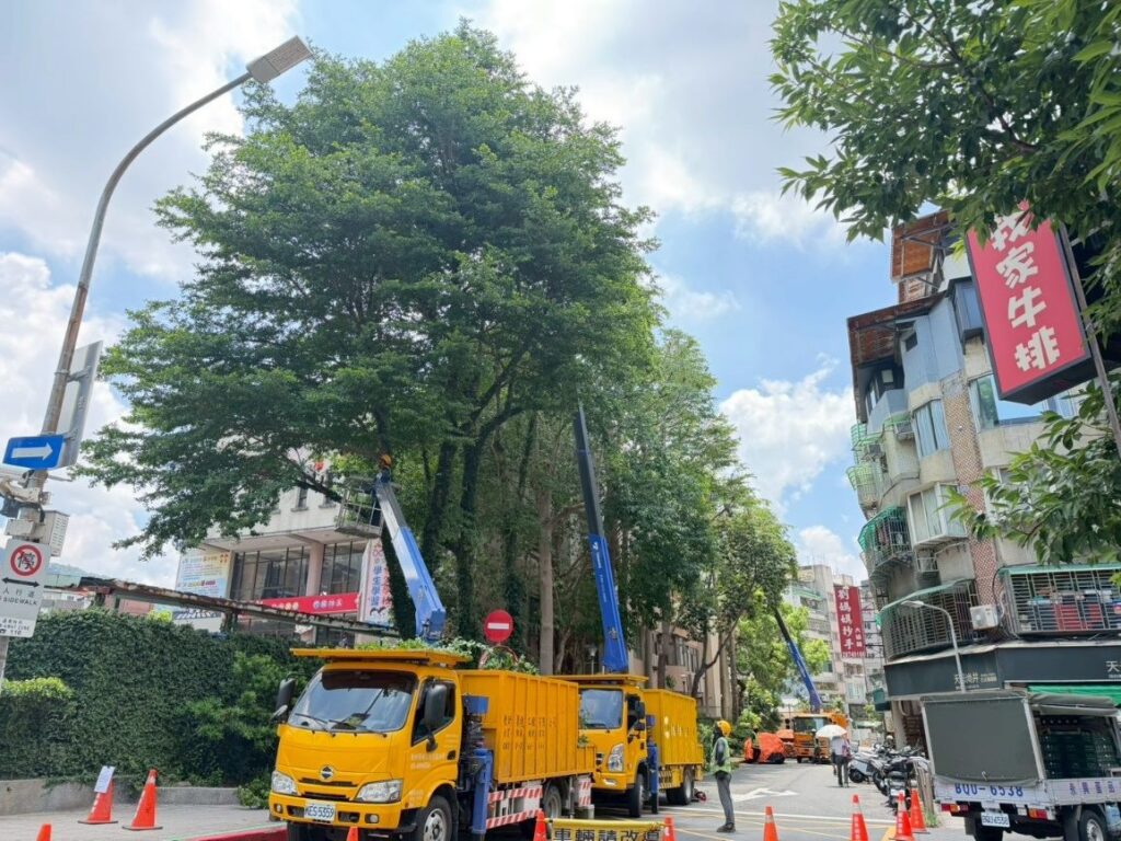 白海豚颱風來襲 北市公園處加強樹木、路燈防災 36 9d18de88 b5be 46dc a582 0c159934785c