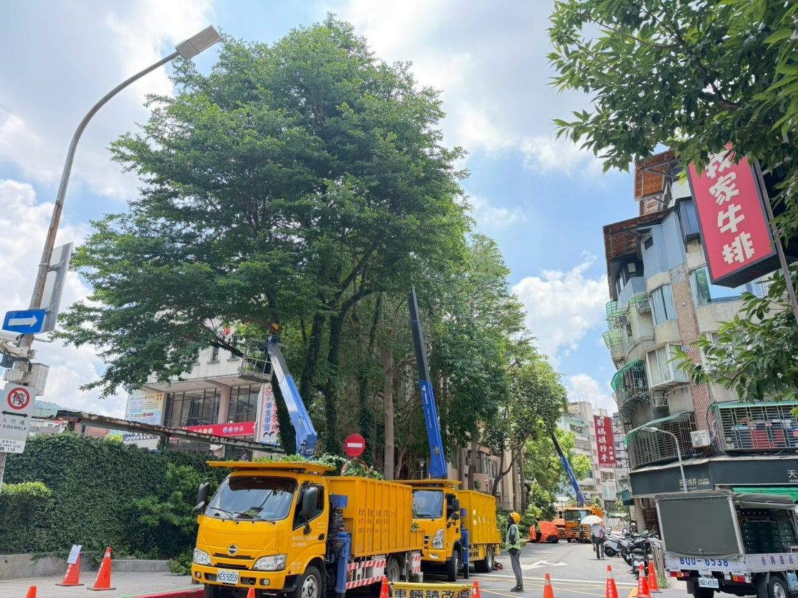 白海豚颱風來襲 　北市公園處加強樹木、路燈防災