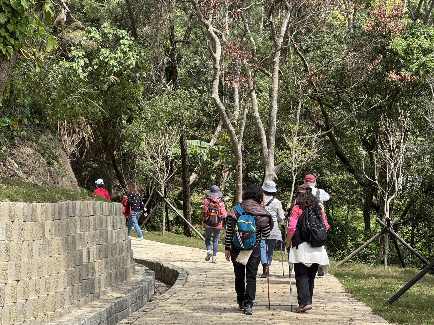 夏日芬多精森呼吸！　精選三大臺北清涼避暑步道一起出發微旅行！