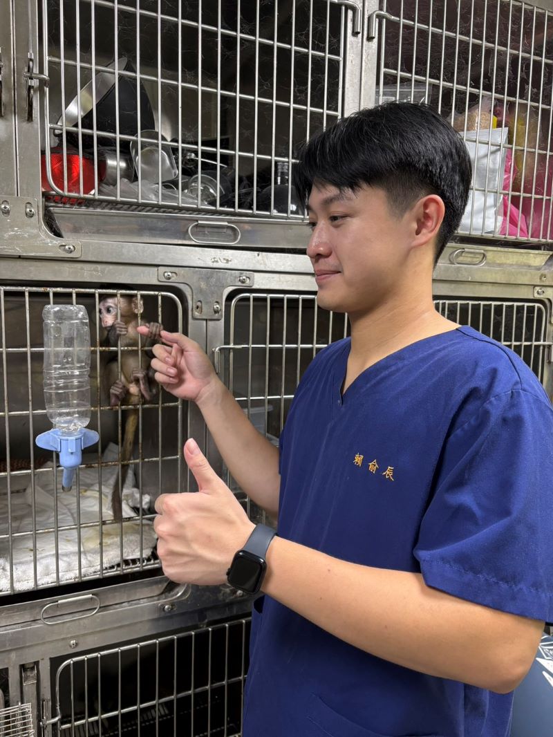 《圖說》參與醫療照顧，同時學習動物福利與行為觀察。〈動保處提供〉