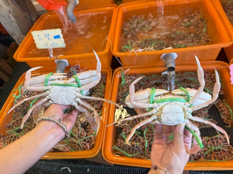 愛吃萬里蟹先學挑蟹 3招嚐鮮兼顧海洋保育 39 《圖說》公蟹腹甲較為尖長(左),母蟹腹甲呈圓弧狀(右)。〈漁業處提供〉