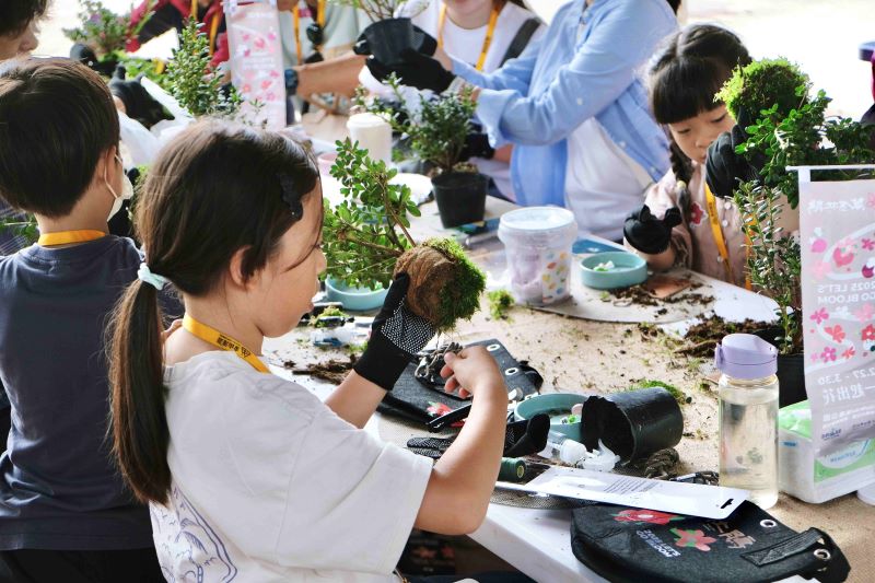 探訪產地、品味北海岸  萬金杜鵑秋遊10月登場