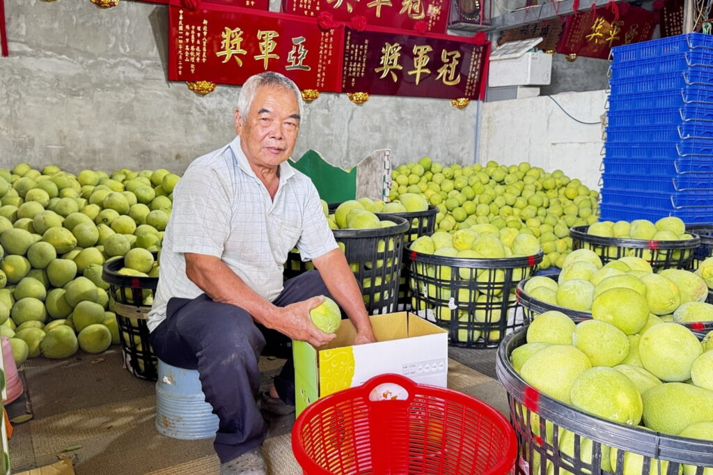 新北市文旦柚評鑑揭曉 八里區李春益獲特等獎與甜柚王 30 0910003 1