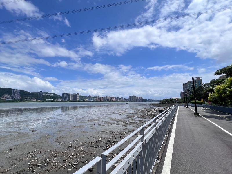 紅樹林過密恐礙排洪 淡水河口啟動4年維護計畫 12 《圖說》115年執行7處涵蓋幼苗再生區範圍伐除約3.3公頃面積。〈高灘處提供〉